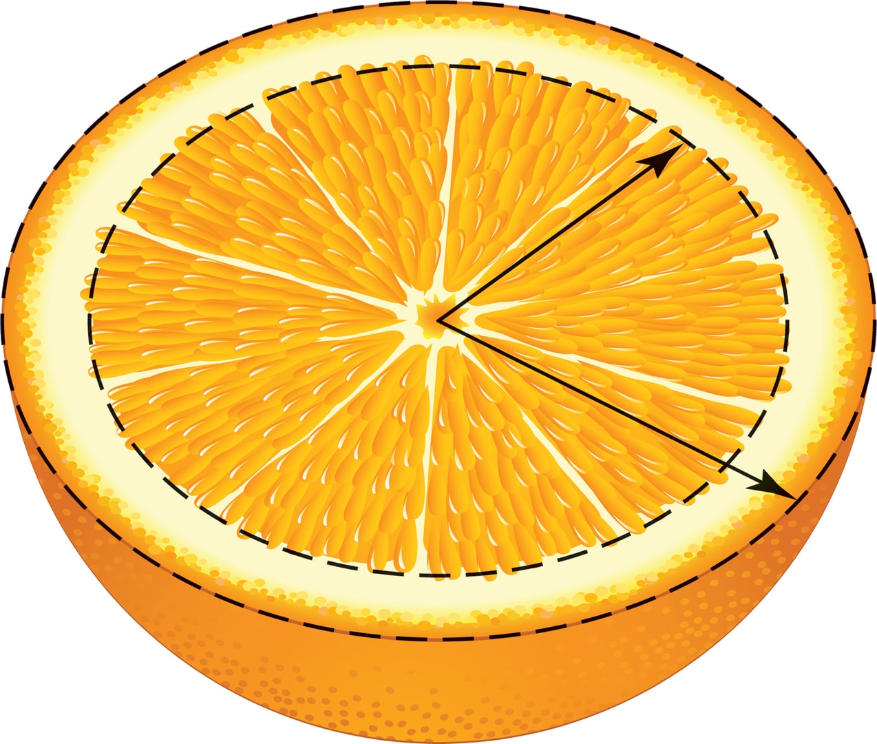Объём шкурки апельсина // Математическая составляющая