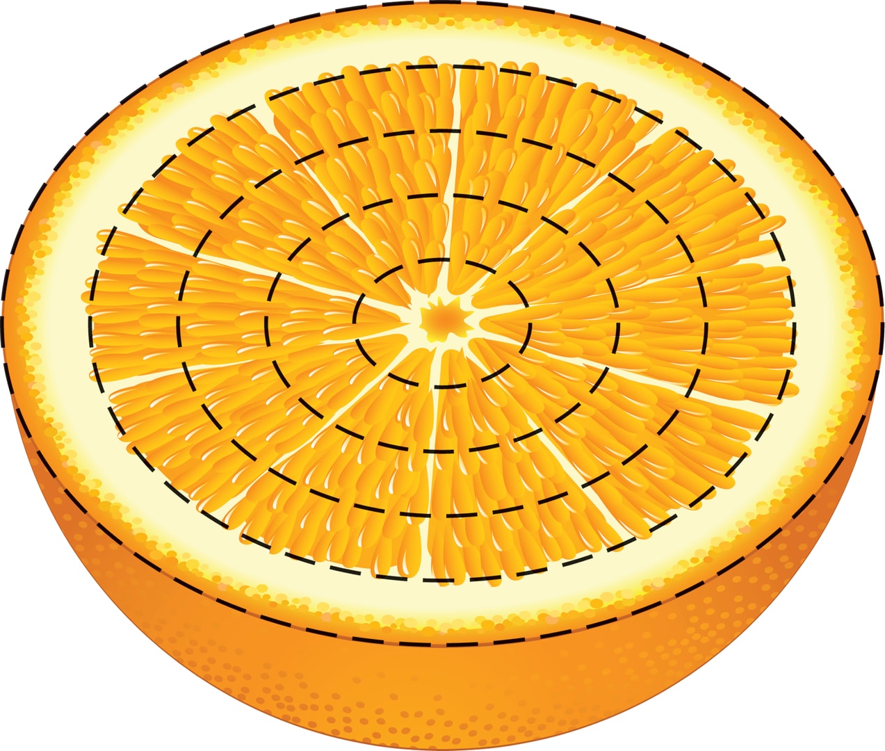 Объём шкурки апельсина // Математическая составляющая
