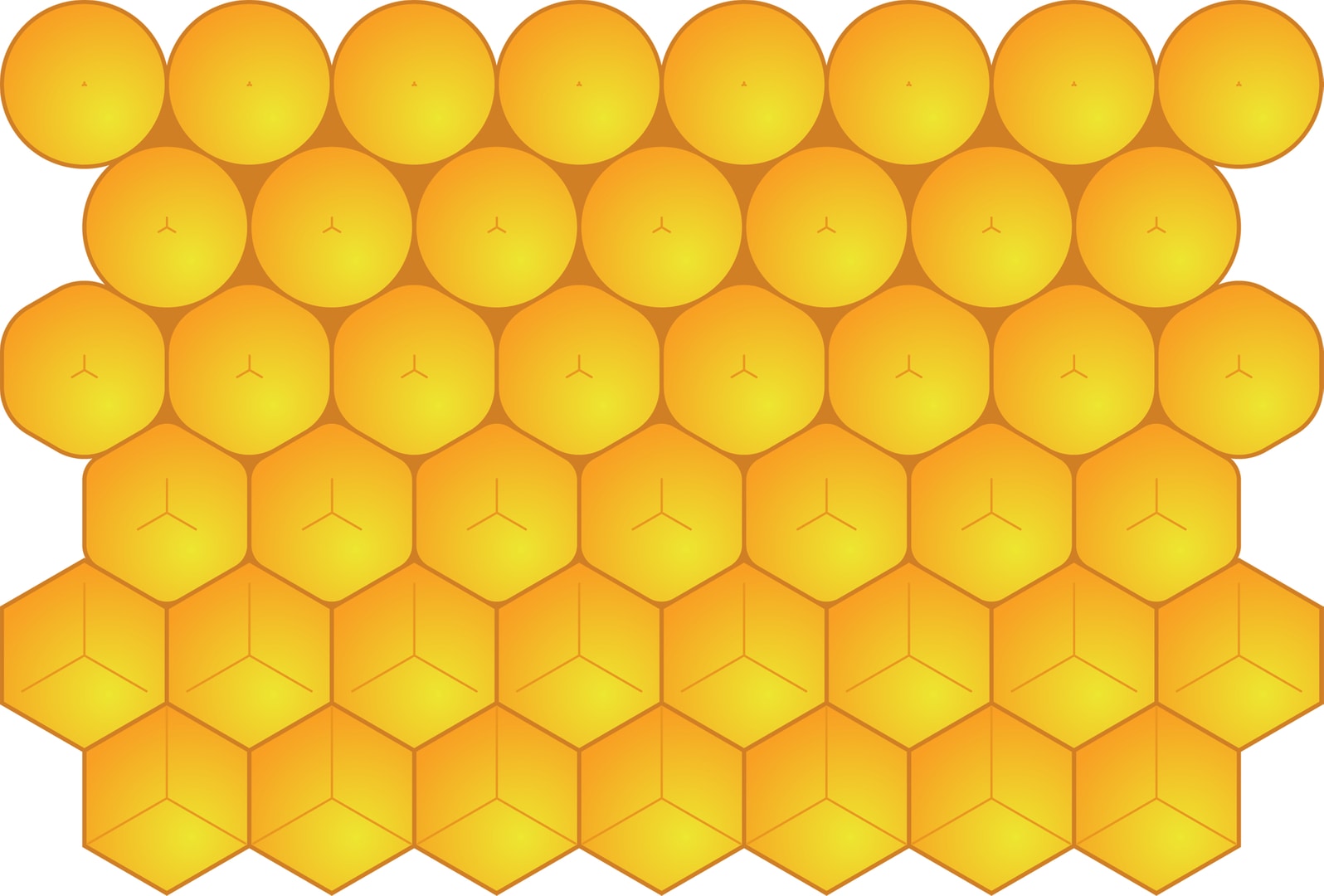 Пчелиные соты // Математическая составляющая