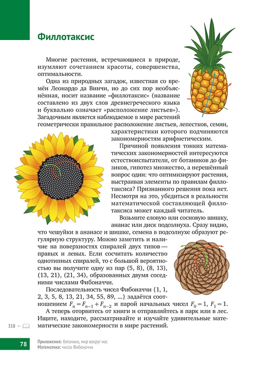 Книга &laquo;Математическая составляющая&raquo;